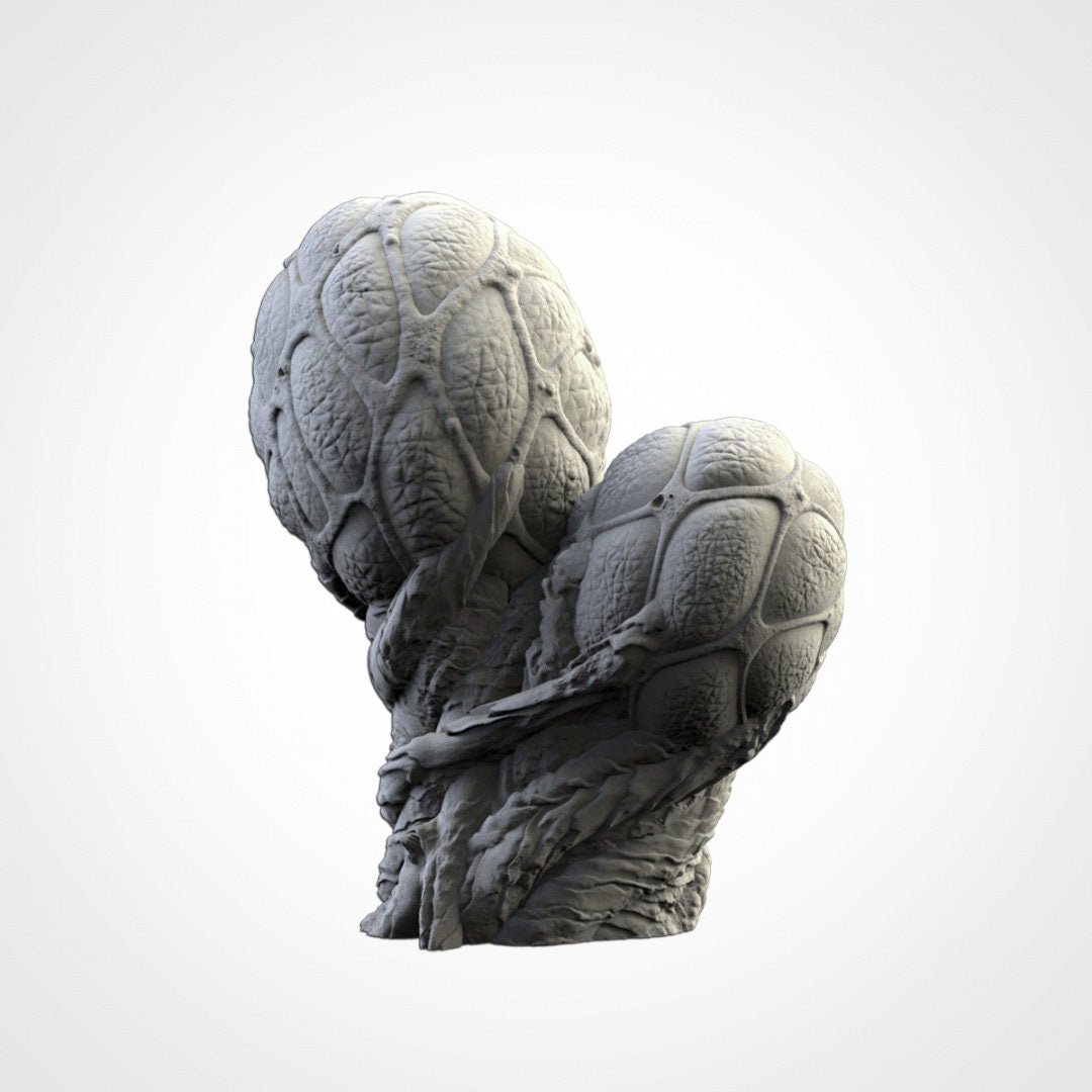 Alien Plants - Txarli Factory - Sigmarite Boutique