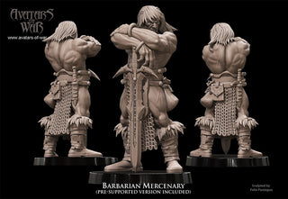 Barbarian Heroes - Avatars of War - Sigmarite Boutique