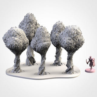 Clasic Forests - Txarli Factory - Sigmarite Boutique