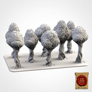 Clasic Forests - Txarli Factory - Sigmarite Boutique