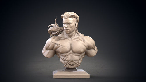 Conan Bust - Hyborian Age - Clay Cyanide - Sigmarite Boutique
