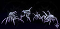 Crazed Arthropods - Infestation - Mini Monster Mayhem - Sigmarite Boutique