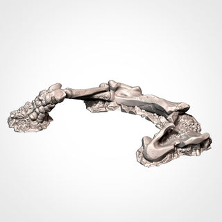 Dead Giant Mammoths - Fantasy Skeleton & Bone Terrain - Txarli Factory - Sigmarite Boutique