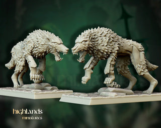 Dire Wolves - Highlands Miniatures - Sigmarite Boutique