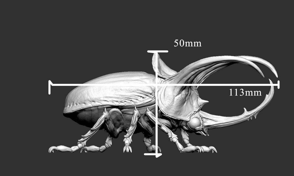 Giant Rhinoceros Beetle - Infestation - Mini Monster Mayhem - Sigmarite Boutique