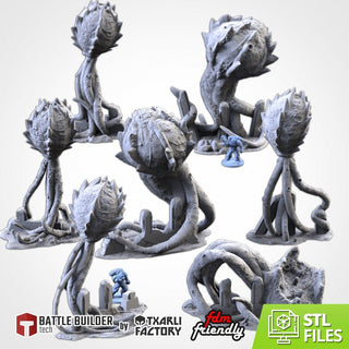 Giant Spores - Txarli Factory - Sigmarite Boutique
