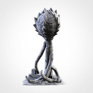 Giant Spores - Txarli Factory - Sigmarite Boutique