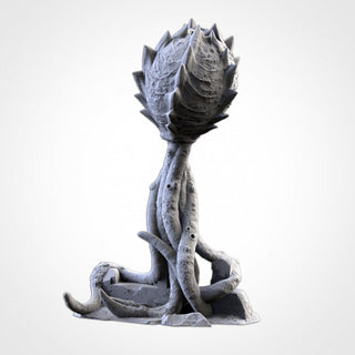 Giant Spores - Txarli Factory - Sigmarite Boutique