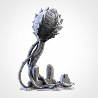 Giant Spores - Txarli Factory - Sigmarite Boutique