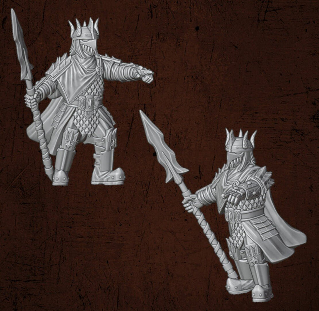 Immortal King on Palanquin - Dark Lords Fallen Legions - Quartermaster 3D - Sigmarite Boutique
