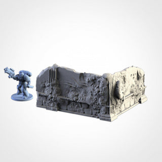Infected Ruins - Small Ruins - Txarli Factory - Sigmarite Boutique