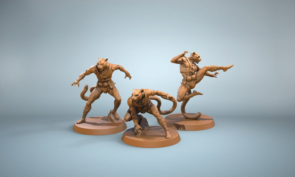 Panthera Warriors - Kingdom of Felinaria - Clay Cyanide - Sigmarite Boutique