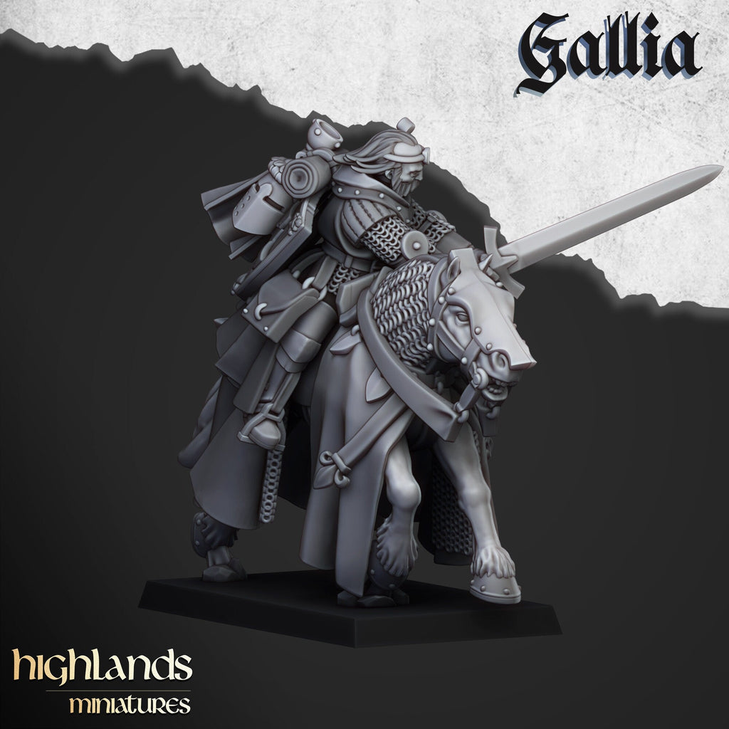 Questing Knights - Gallia - Highlands Miniatures - Sigmarite Boutique