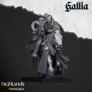 Questing Knights - Gallia - Highlands Miniatures - Sigmarite Boutique