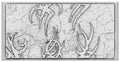 Resin Bases - Dark Elves - Square - Sigmarite Boutique