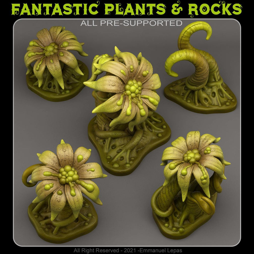 Slimy Swamp Flowers - Fantasy Scatter Terrain for DnD, RPGs & 28mm Wargaming Resin Printed Terrain Set - Sigmarite Boutique