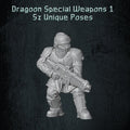 Solaryn Dragoon Special Weapons - Quartermaster 3D - Sigmarite Boutique