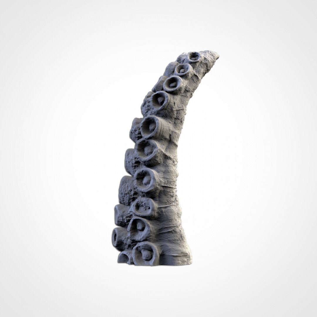 The Kraken - Txarli Factory - Sigmarite Boutique