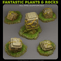 Tropical Ruins - Fantasy Scatter Terrain for DnD, RPGs & 28mm Wargaming Resin Printed Terrain Set - Sigmarite Boutique
