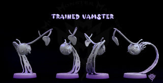 Vampsters - Adorable Nightmares - Mini Monster Mayhem - Sigmarite Boutique
