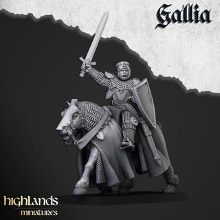 Young Knights - Gallia - Highlands Miniatures - Sigmarite Boutique