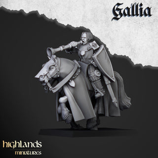 Young Knights - Gallia - Highlands Miniatures - Sigmarite Boutique